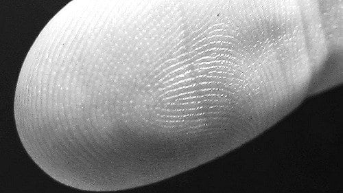 Fingerprint Detail